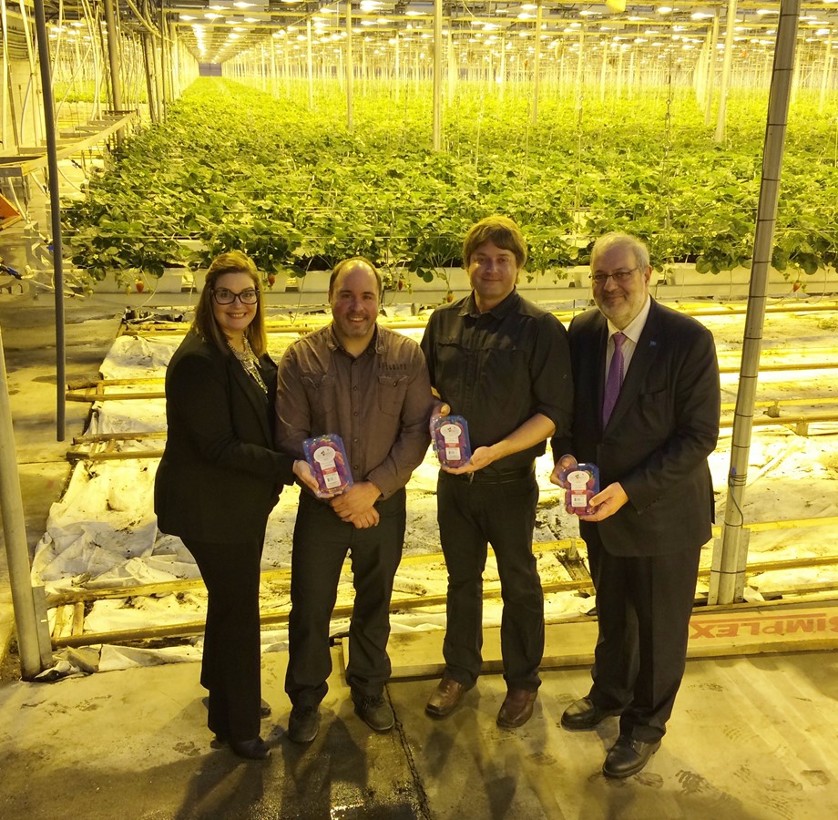 Les copropriétaires Joël Lalancette et Simon Plante, au centre, ont pris le temps de faire visiter les serres à Karine Vallières et Pierre Arcand.