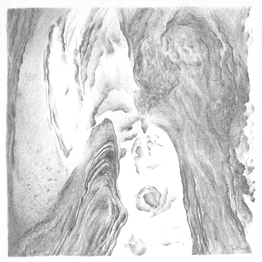 Cette œuvre signée Madeline Deriaz sera présentée lors de la biennale du dessin au Musée des Beaux-arts de Mont-Saint-Hilaire. 