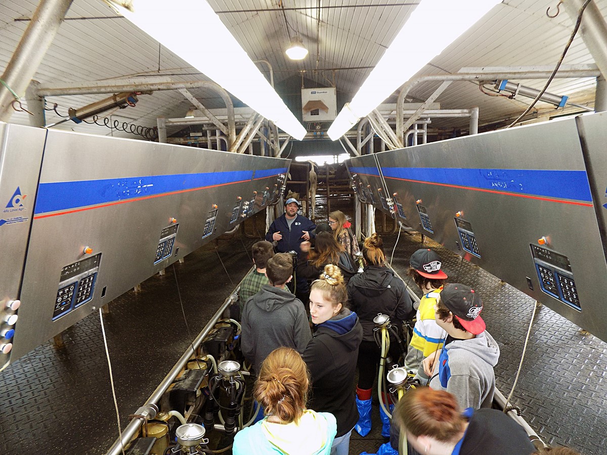 Un groupe d’élèves intéressés par l’agriculture et la santé animale visitent la salle de traite à la ferme Renédith de Wotton.