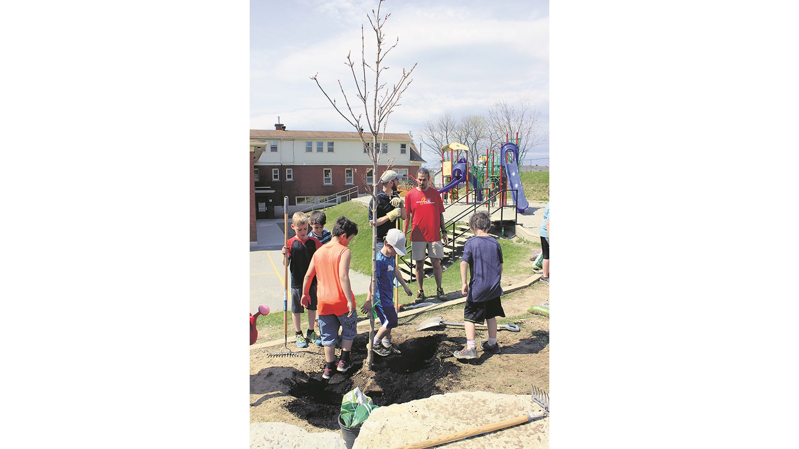 Les élèves de Saint-Gabriel ont planté des arbres pour embellir leur cour d’école