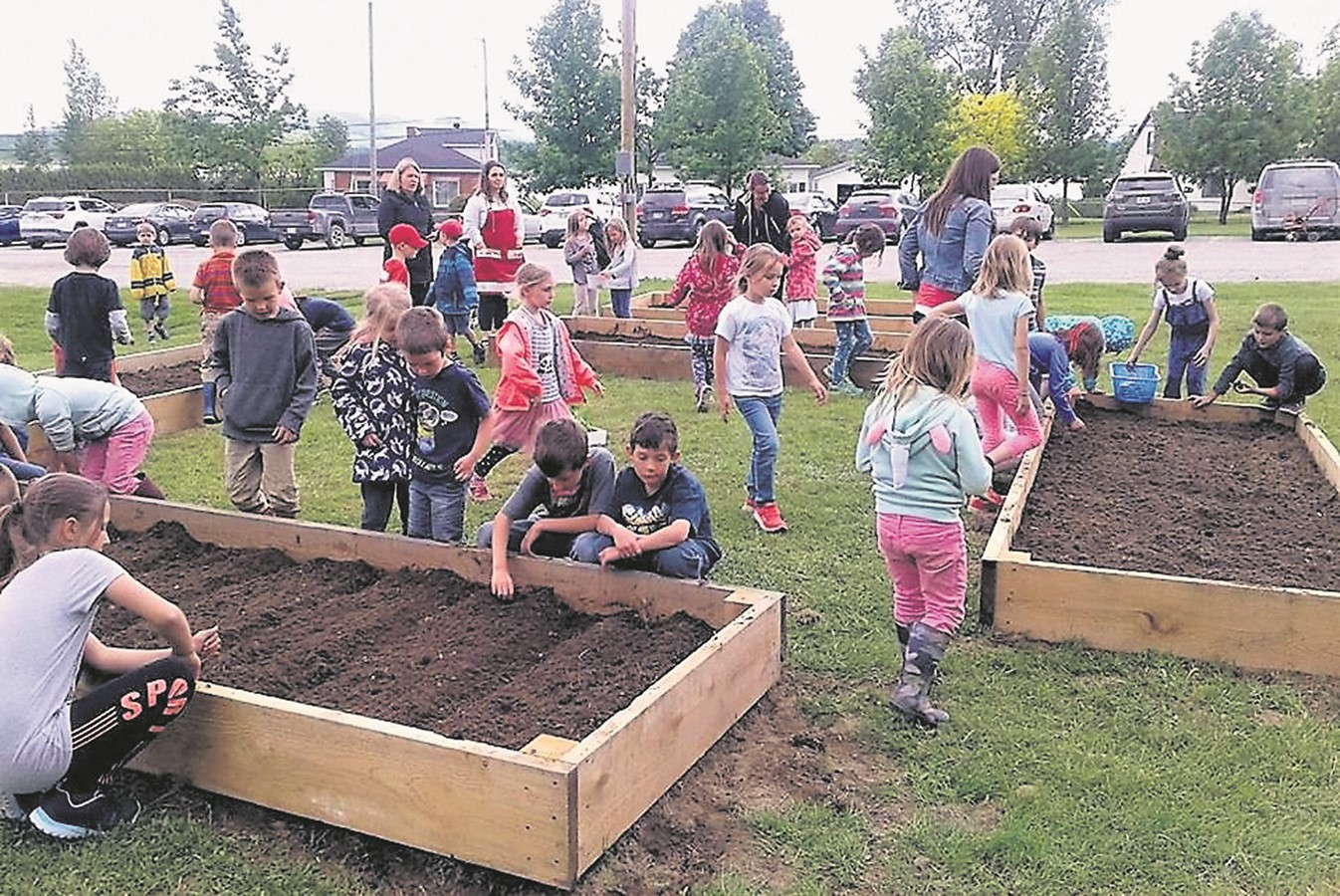 Le jardin communautaire des élèves de la maternelle et première année de l’école anglaise ADS de Danville. 