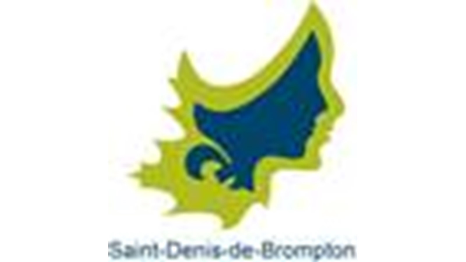 Budget 2019 : en route vers le  Saint-Denis-de-Brompton de demain