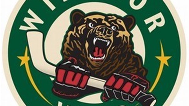 Le Desjardins-Wild se joint à la Ligue régionale de hockey