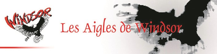 Une première période à oublier pour les Aigles séniors
