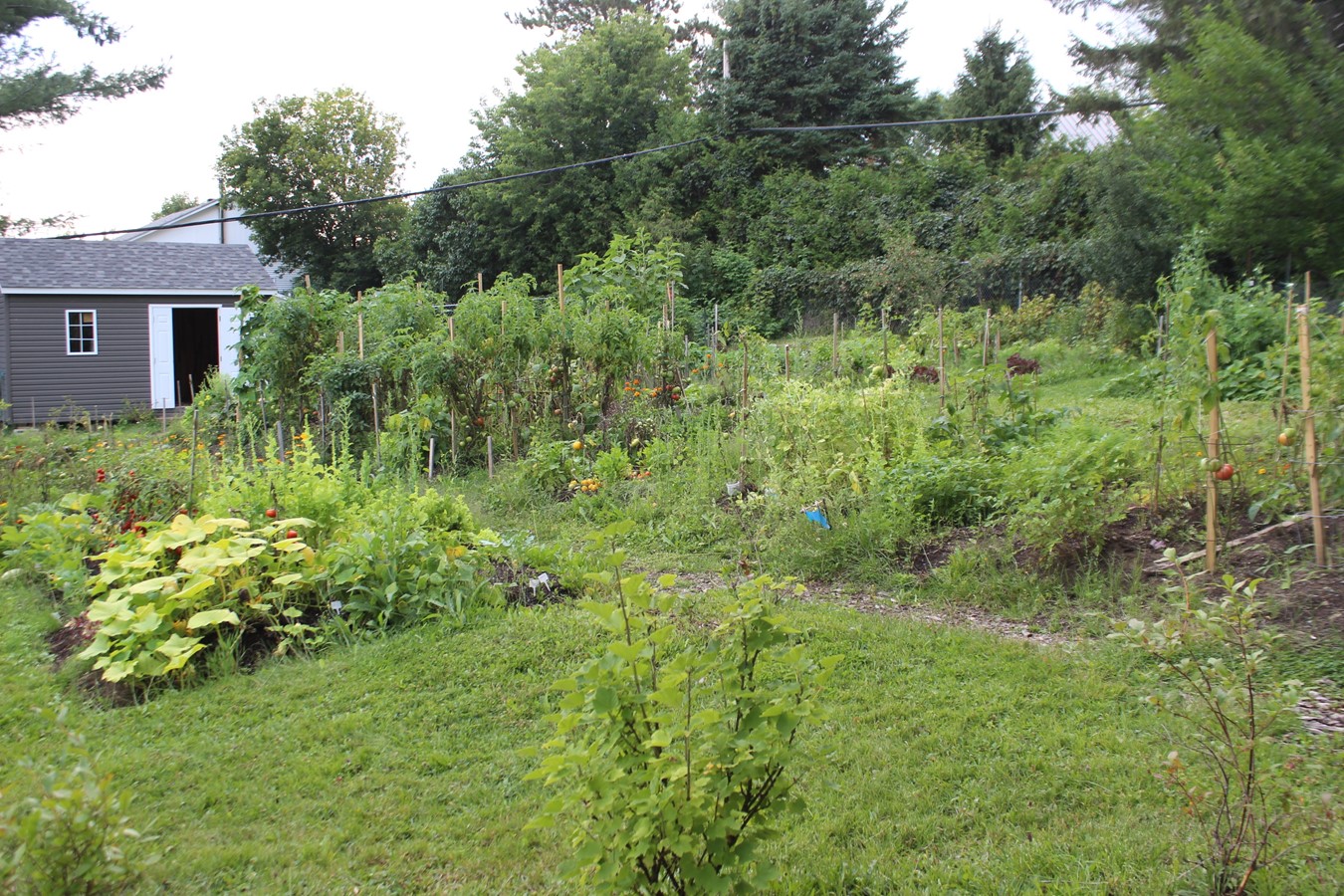 De l’espace, des fruits, des légumes bio, des plantes et le plaisir d’être ensemble