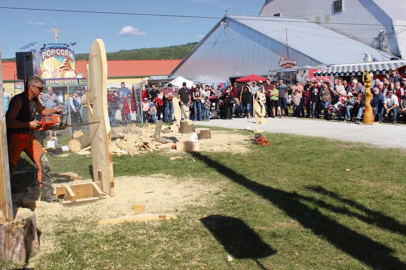 Le sculpteur d’arbres Jacques Pissenem de retour à l’Expo Richmond
