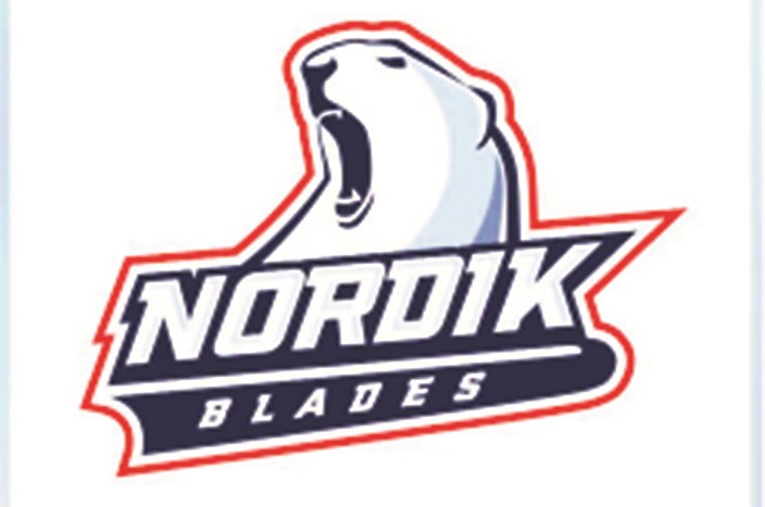 Plus d’une trentaine de joueurs présents au camp du Nordik Blades