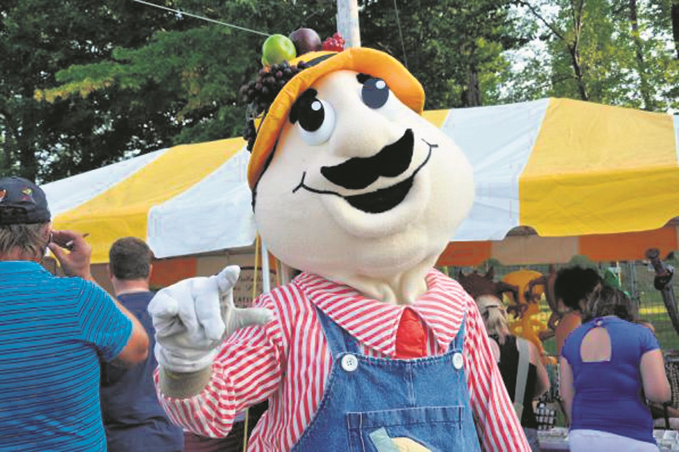 Des changements en vue pour le tournoi de balle 2020 du Festival des Gourmands
