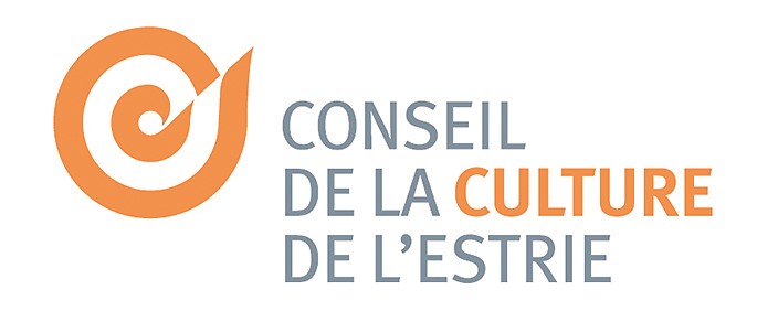 Conseil de la culture de l’Estrie :  La concertation en marche