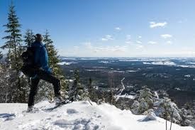 Une programmation 2020 haute en couleurs pour le Mont-Ham