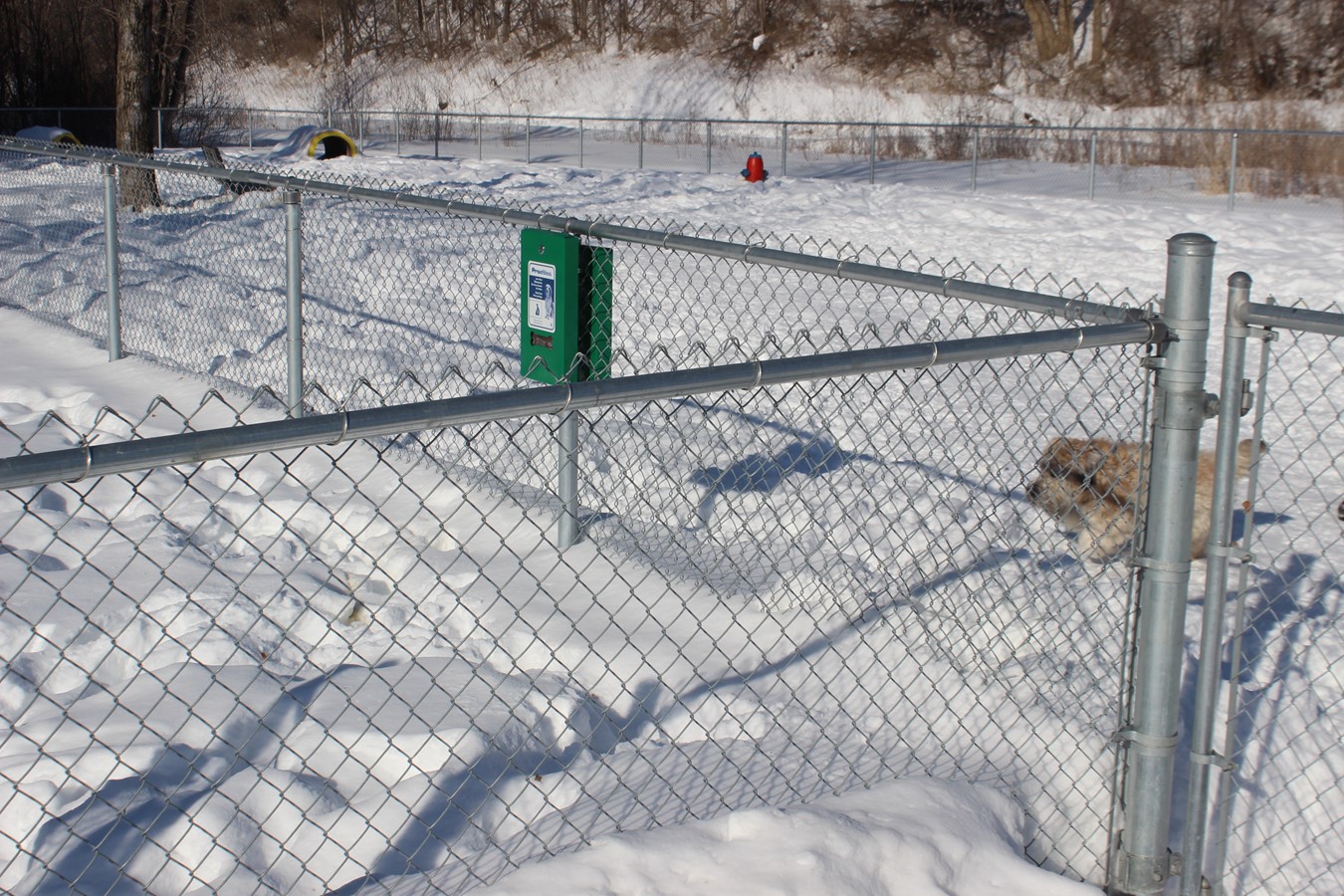 Un citoyen de Richmond souhaite l’installation d’un parc canin