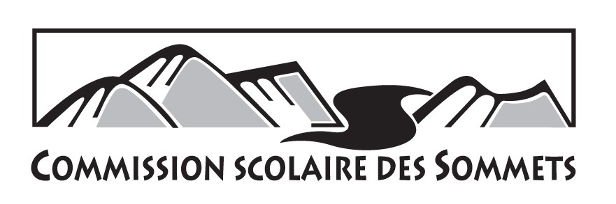 Découpage du territoire de la CSS en 5 districts