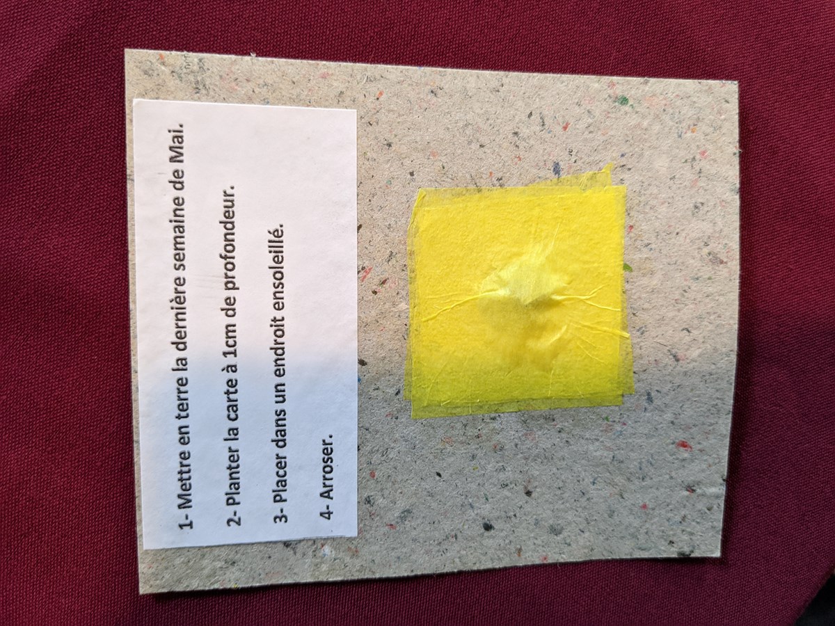 Un couple de Richmond s’adonne à la confection de cartes de souhaits écologiques
