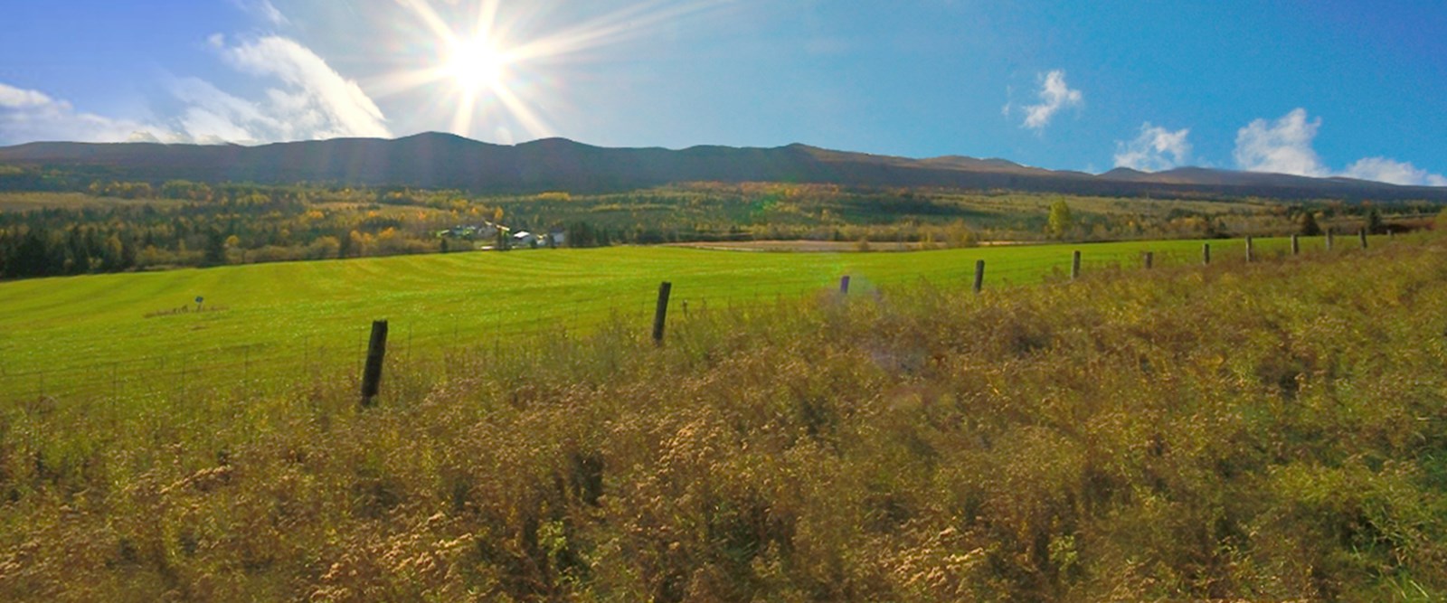 La mission 1 000 tonnes acceptées à Stoke : participez en grand nombre !