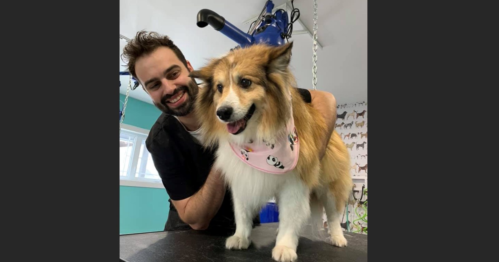 Aux petits soins avec votre animal !