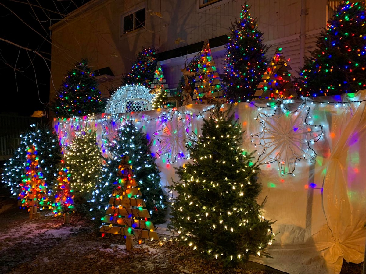 Des ampoules de Noël rapportent 8000 $
