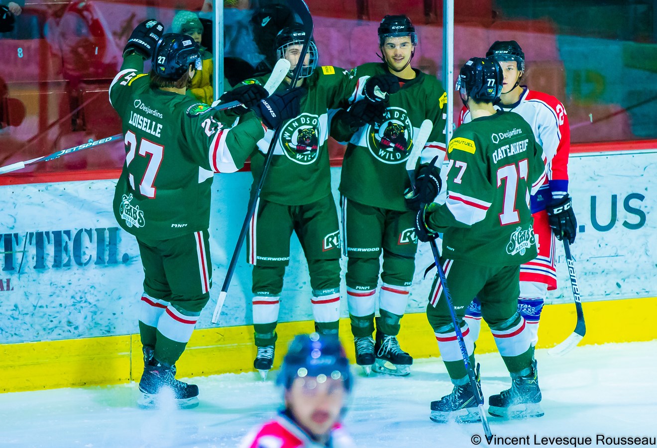 Le Desjardins — Wild a un rendez-vous important avant les Fêtes
