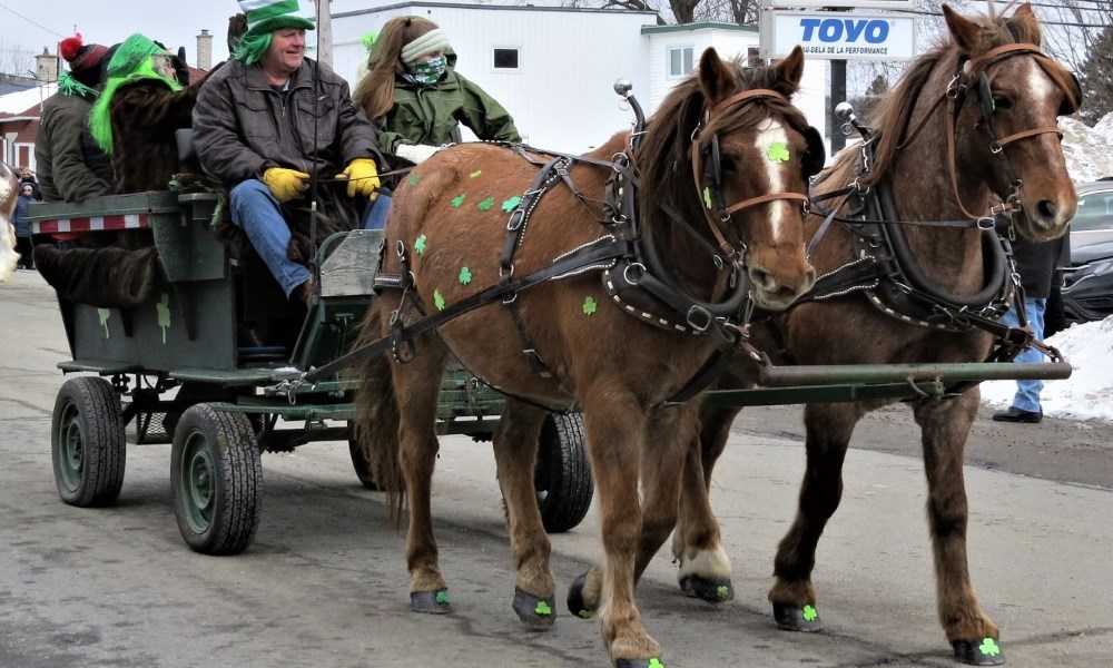 À quelques jours du grand défilé de la Saint-Patrick à Richmond…