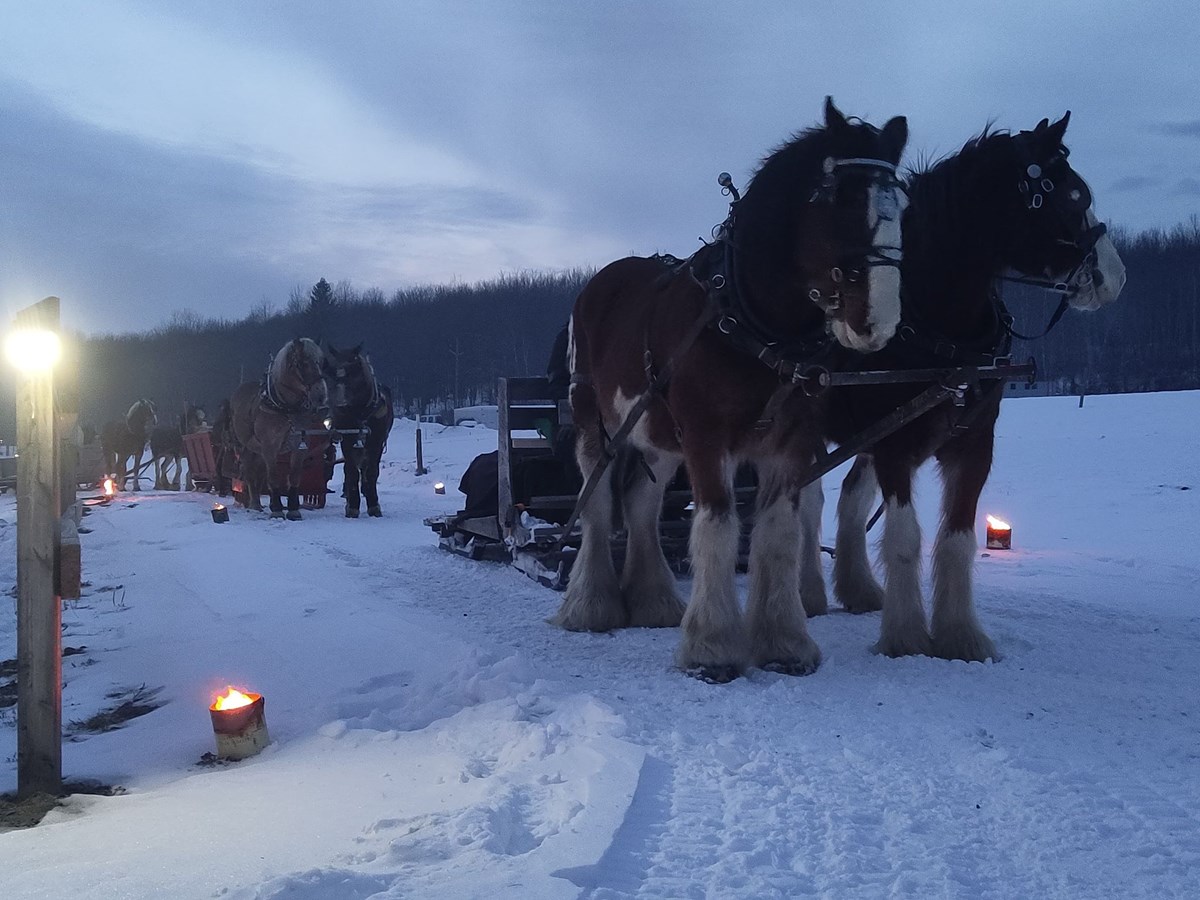 Un Sleigh ride aux flambeaux attire 350 personnes