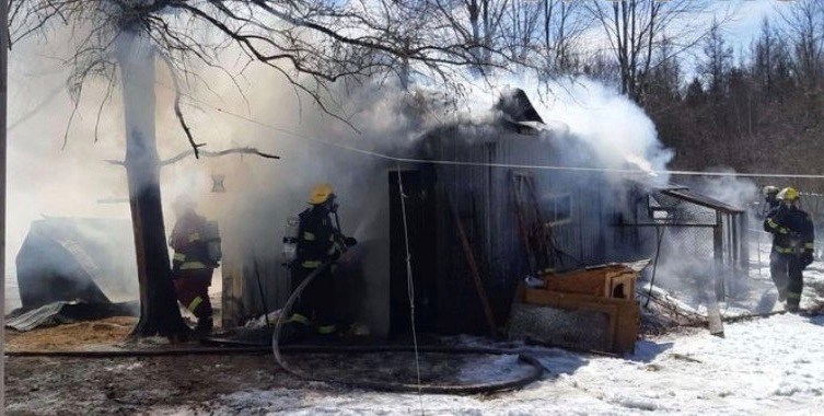 Des animaux d’exposition périssent dans un incendie