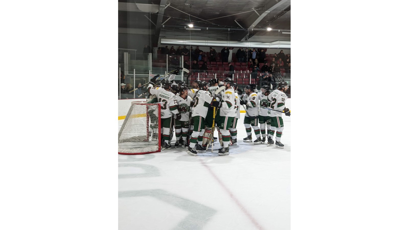 Le Desjardins-Wild en finale de la LRH contre Warwick