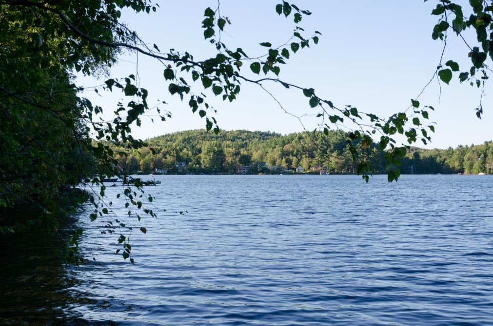 Mis de l’avant par les représentants des associations des lacs Desmarais et Petit lac Brompton, la municipalité a pris le dossier en charge en 2011.