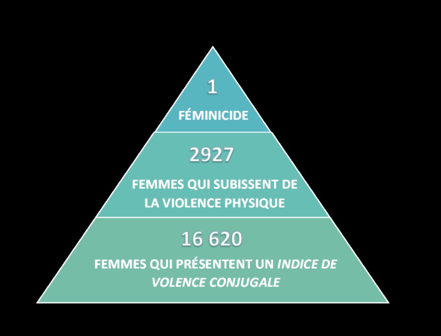 mage Gracieuseté du comité de réflexion local avec l,autorisation du Dre Mélissa Généreux