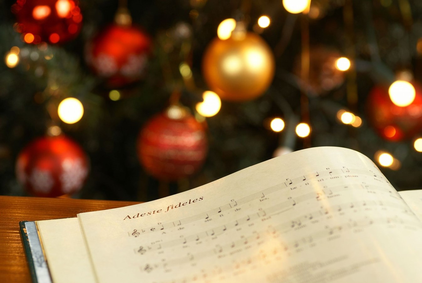 Cantate Ô grande nuit de Noël
