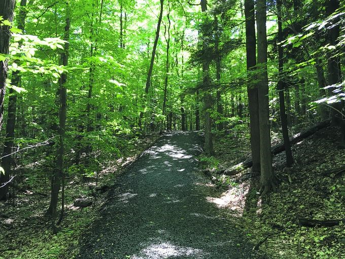 Intervention dans un sentier pédestre à Val-des-Sources