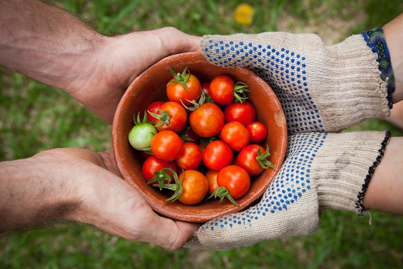 Un forum pour favoriser l’autonomie et la sécurité alimentaire