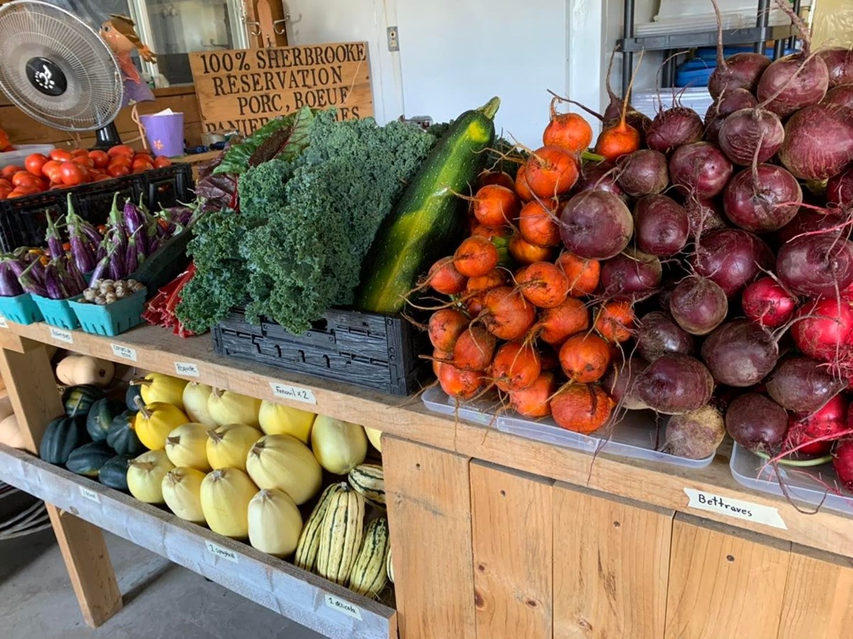 Le Marché public de Stoke est également une vitrine et un point de chute pour les producteurs, les marchands, les artisans, les organismes, les artistes et jeunes entrepreneurs de la région.