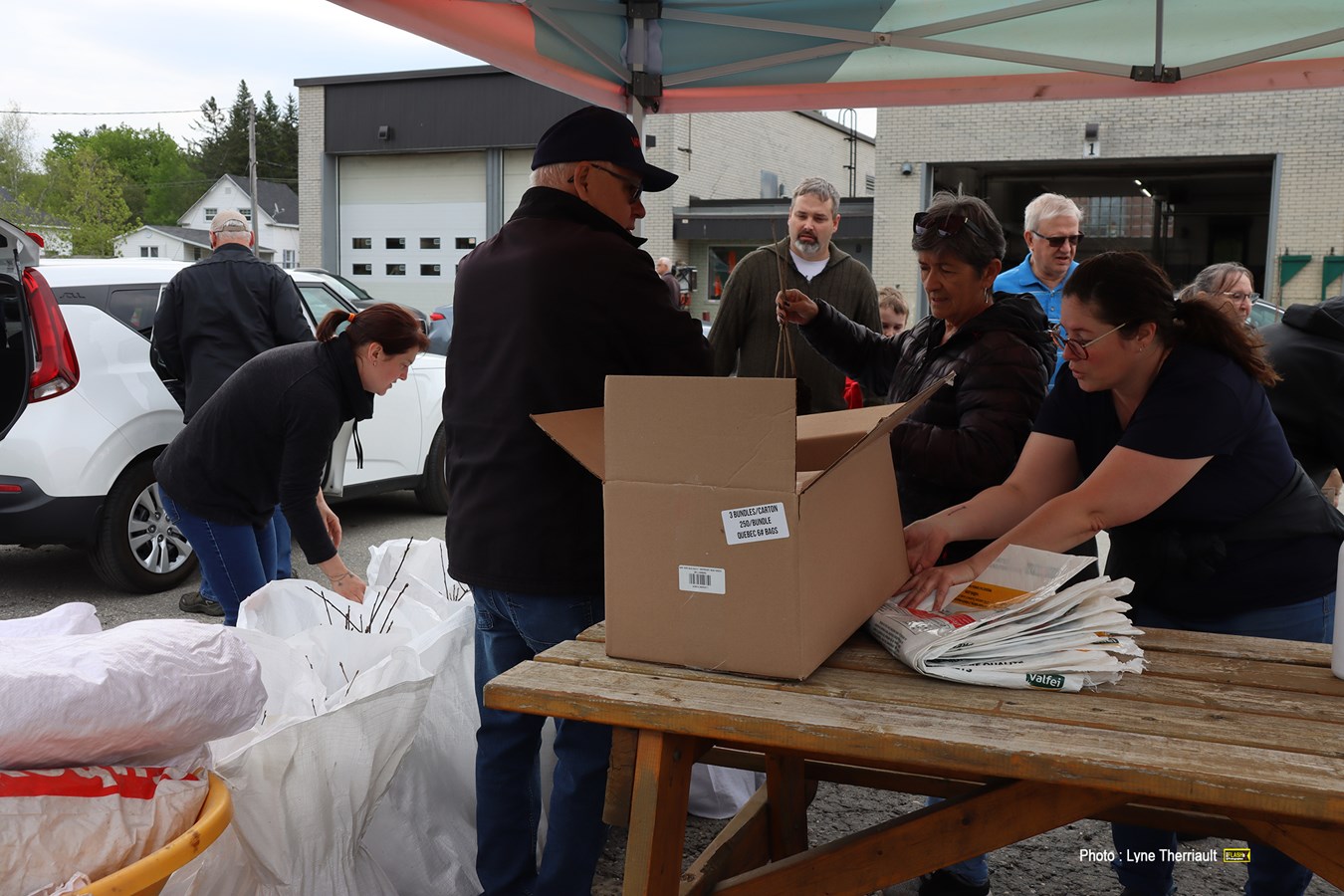 La Ville de Windsor a également fait la distribution d’arbres. 