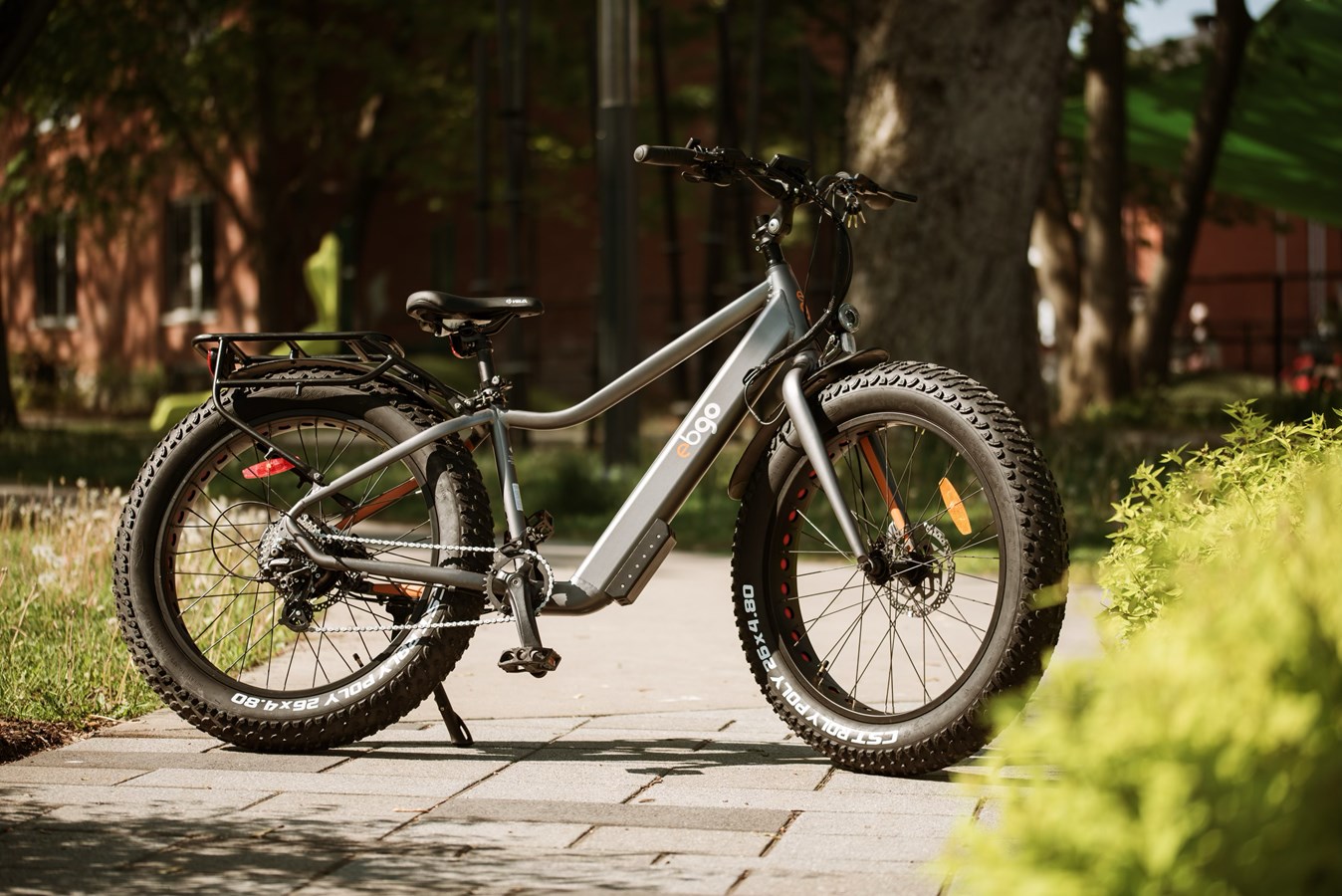 Un projet de location de fatbikes électriques voit le jour