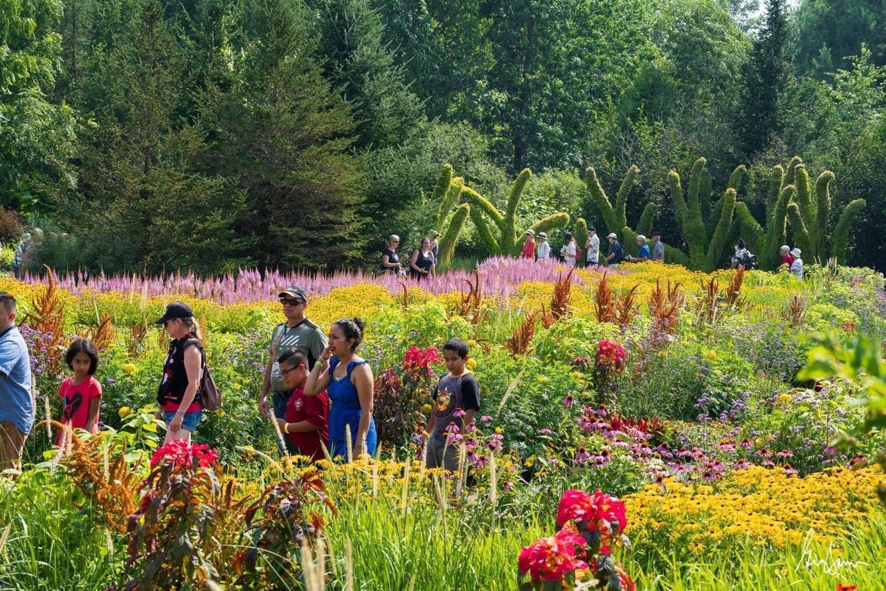 Dimanche gratuit au musée : fort engouement au Parc Marie-Victorin