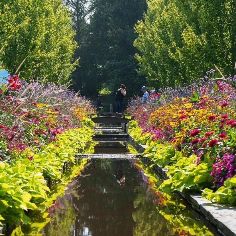 Dimanche gratuit au musée : fort engouement au Parc Marie-Victorin