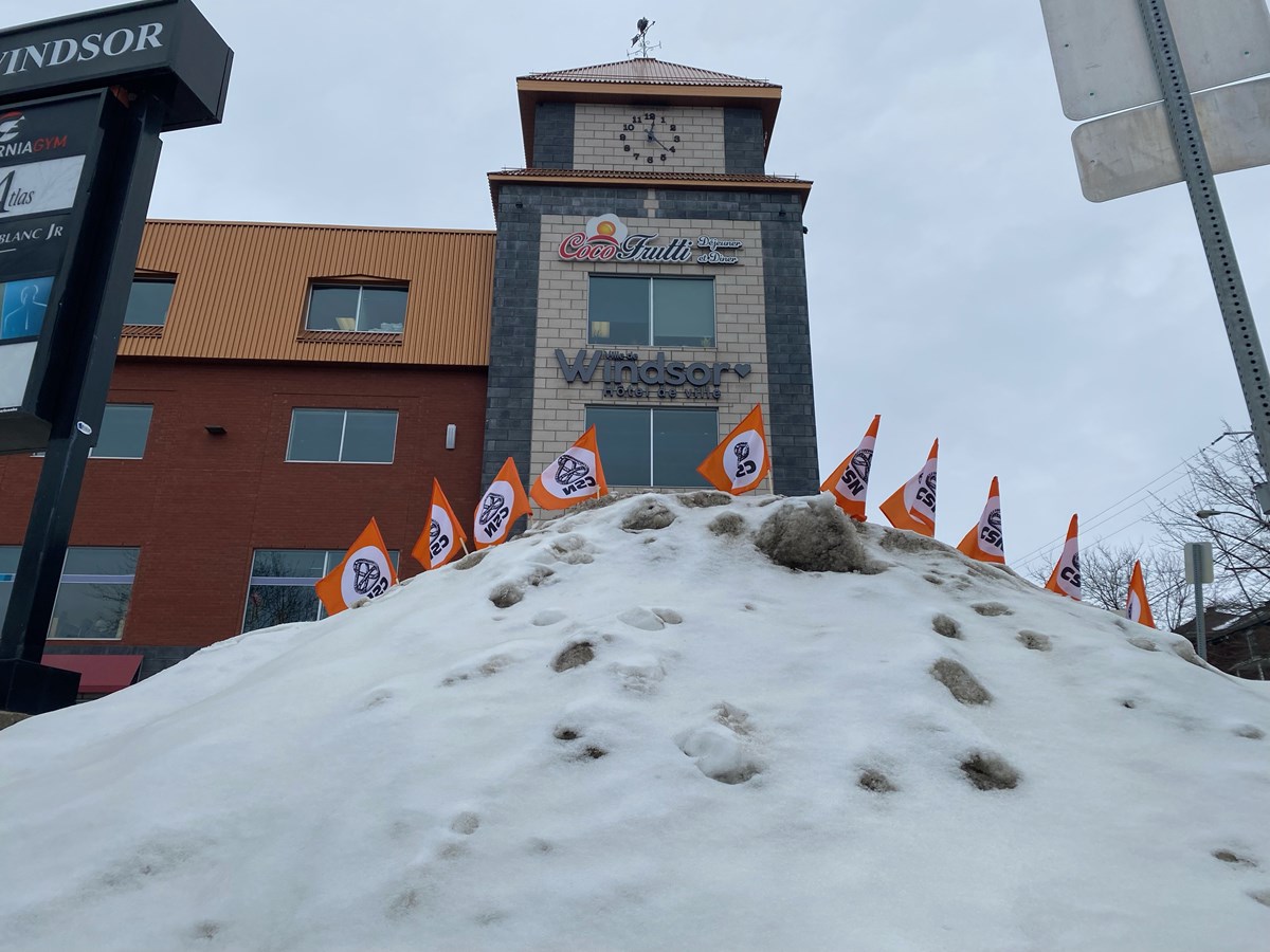 Des centaines de petits drapeaux de la CSN ont été déployés sur les terrains appartenant à la Ville de Windsor.