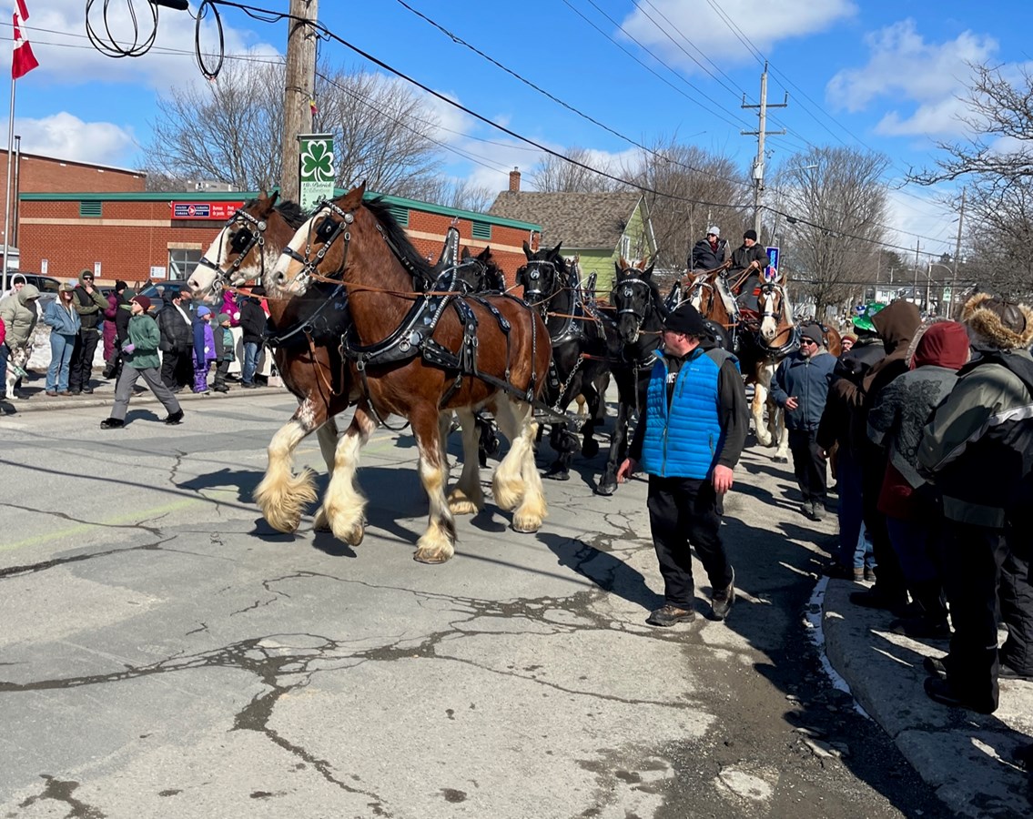 Ainsi, le traditionnel défilé de la Saint-Patrick se tiendra le 17 mars. Il débutera à 14 h sur la 7e avenue. Il traversera la ville en empruntant la ligne verte.