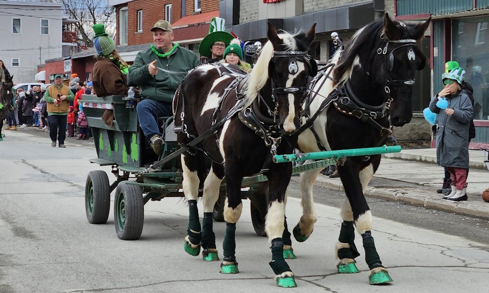Des milliers de personnes au défilé de la Saint-Patrick