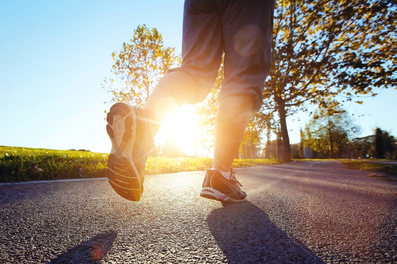 Une joggeuse attaquée par un chien