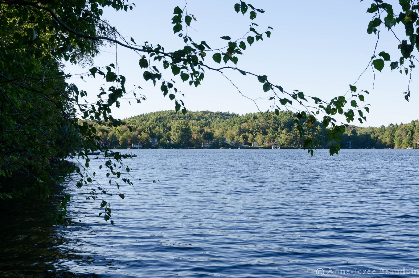 Les bandes riveraines des cinq lacs de Saint-Denis seront soumises à une inspection au cours de la saison estivale.