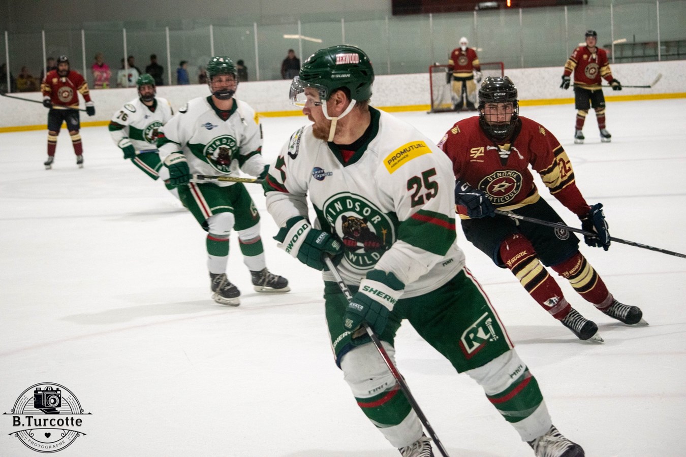 Le Desjardins-Wild éliminé en demi-finale dans une série chaudement disputé