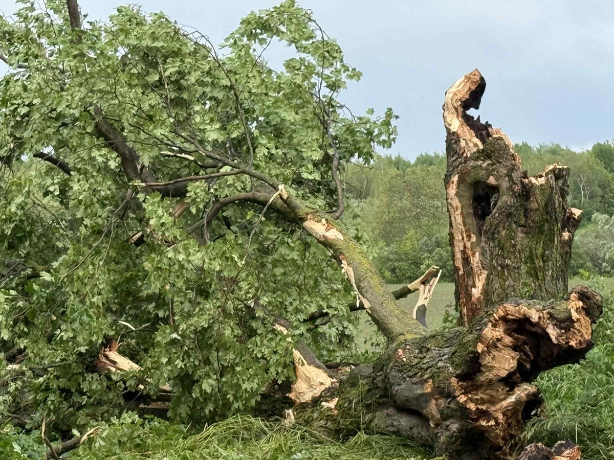 La nature se déchaine à Danville