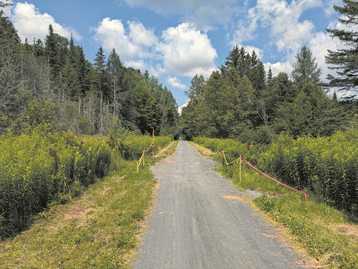 Les travaux ont débuté dès la fermeture du réseau cyclable le 15 octobre 2025, et devraient s’échelonner sur une période d’environ deux semaines.
