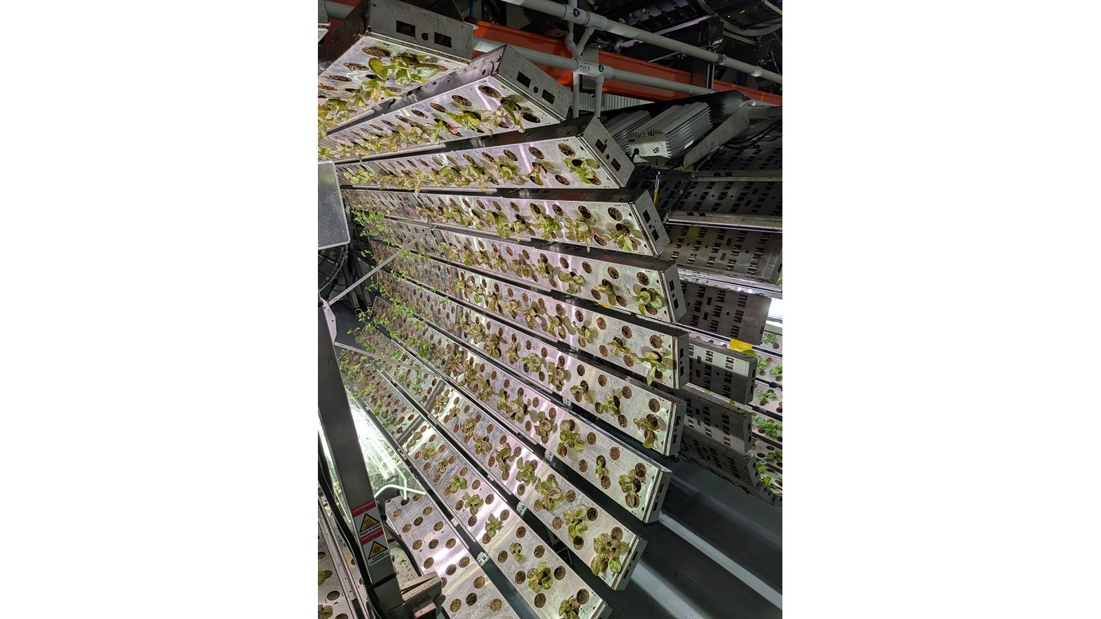 Le caveau communautaire est d’ailleurs officiellement mis en place, lequel est dédié à l’entreposage de légumes en plus de comporter une unité de congélation, une chambre froide et un espace d’entreposage sec.