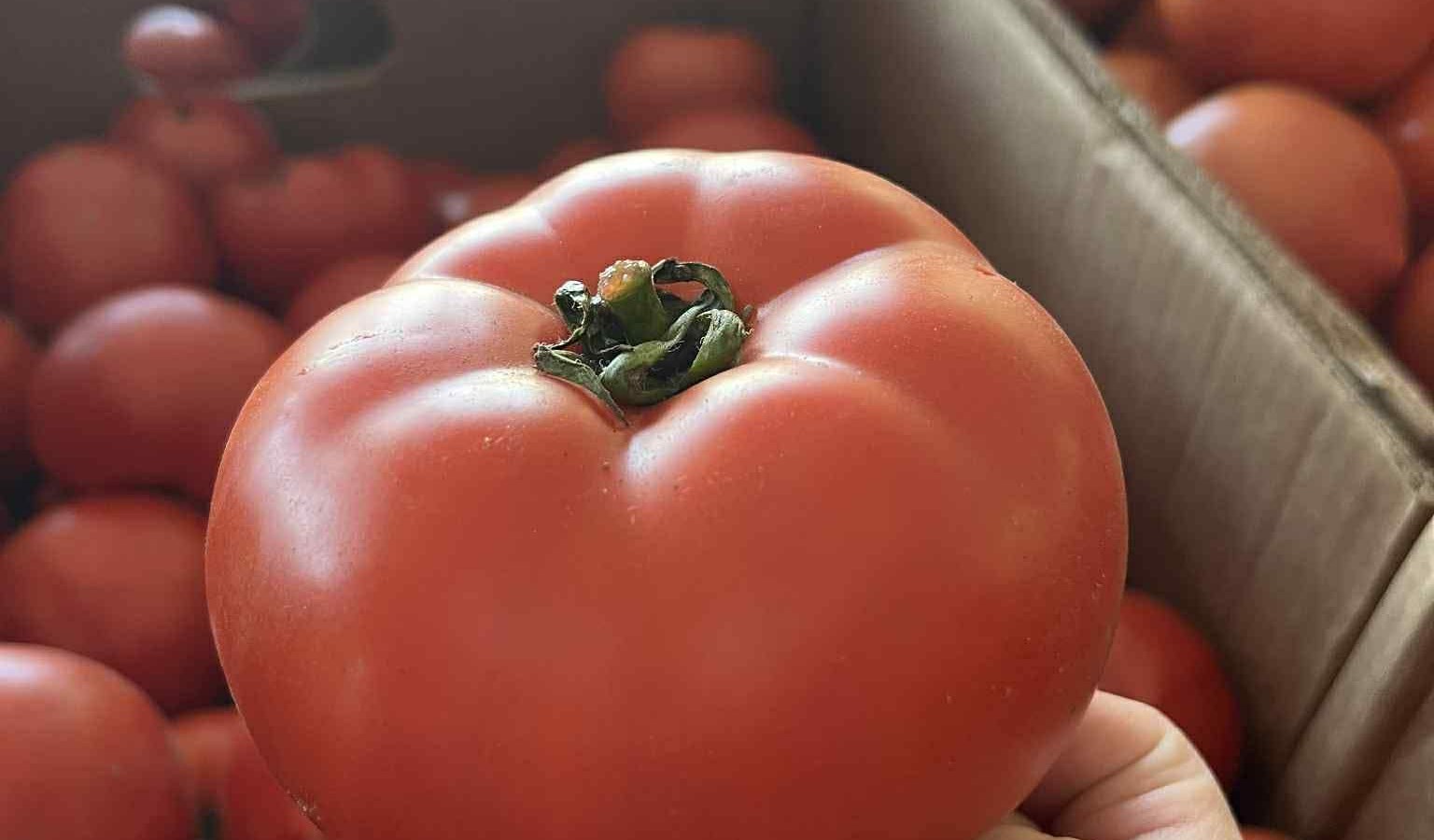 Cuisine Amitié de la MRC des Sources souligne la Journée nationale des cuisines collectives