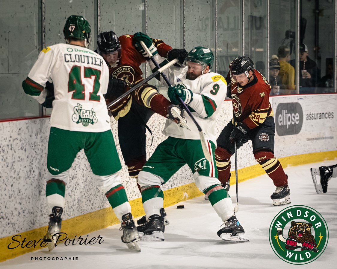 Pas de changement draconien au sein du Desjardins — Wild