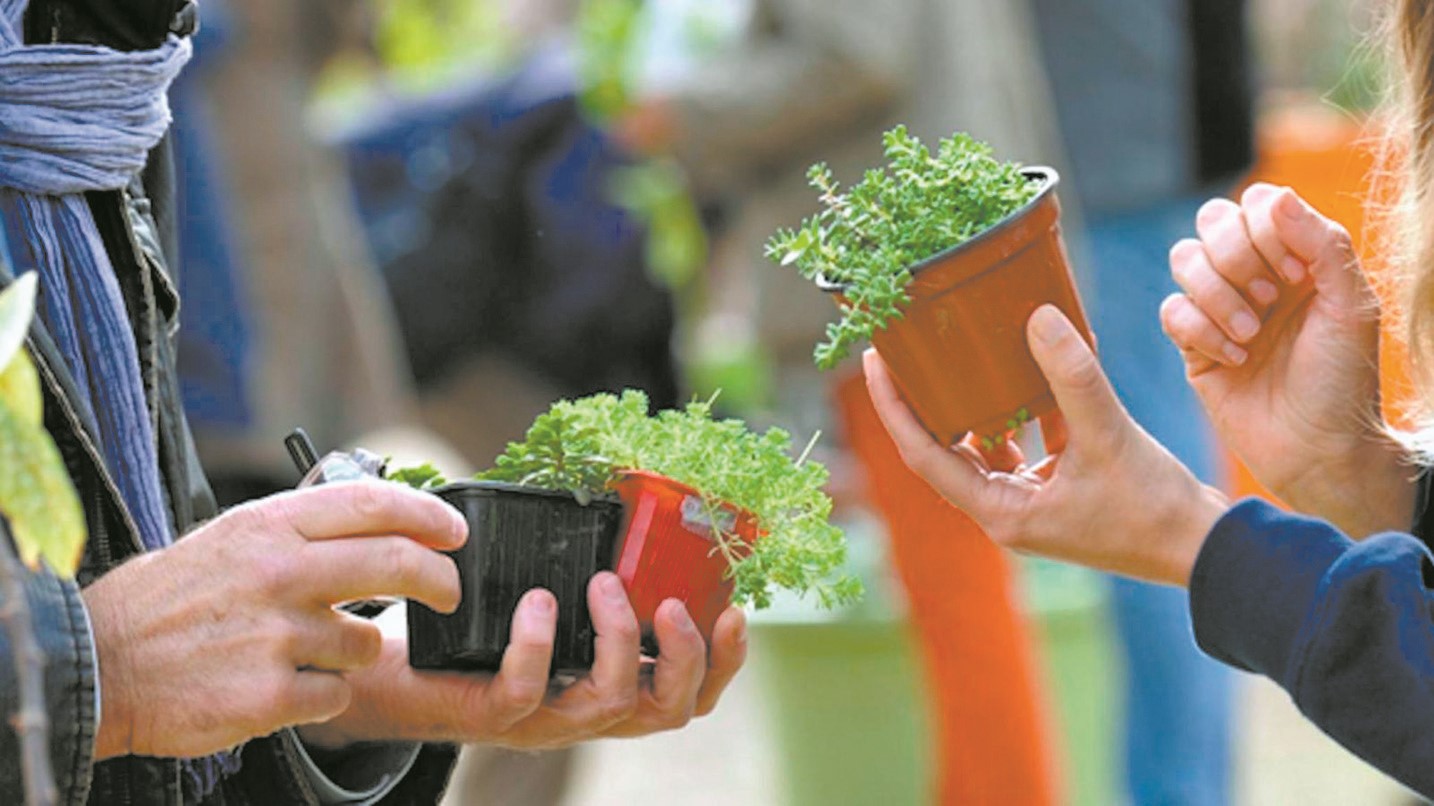 Échange de plants au Marché champêtre de Melbourne