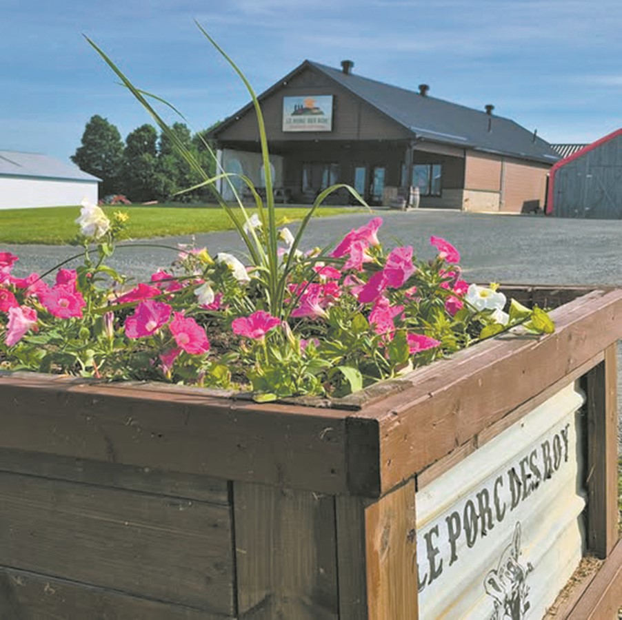 la Ferme S. Roy inc. s’impose encore aujourd’hui comme l’une des entreprises porcines les plus structurées et les plus autonomes de la région et de la province.