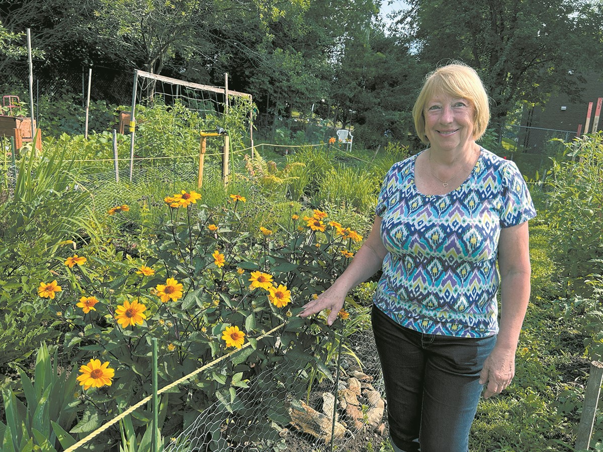 Jardin communautaire : une parcelle de terrain pour 20 $