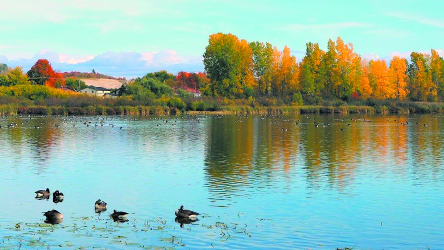 Danville célèbrera le 22e du Festival des Oiseaux de Burbank
